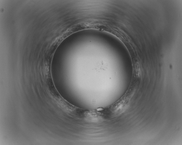 X0000069390372200605121217