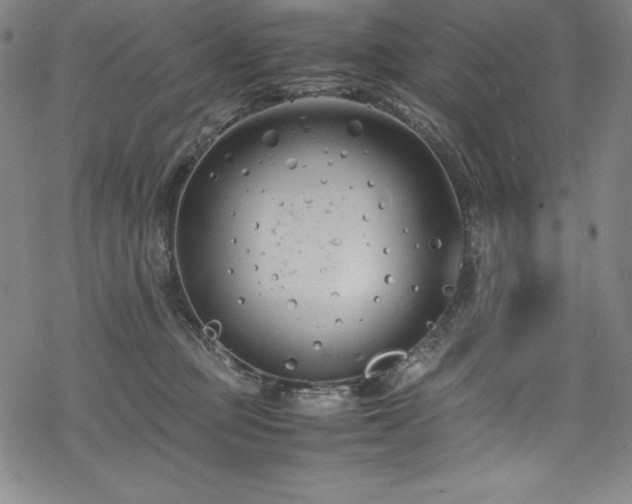 X0000069390373200605121217