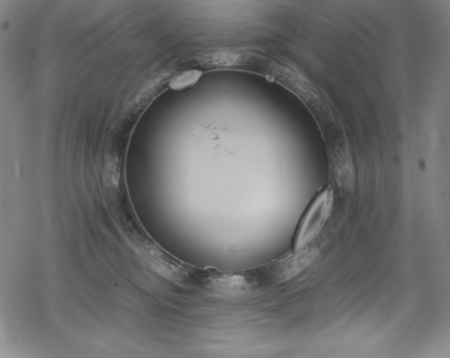 X0000069390374200605121217