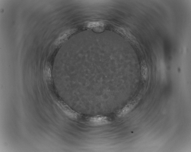 X0000069390375200605121217