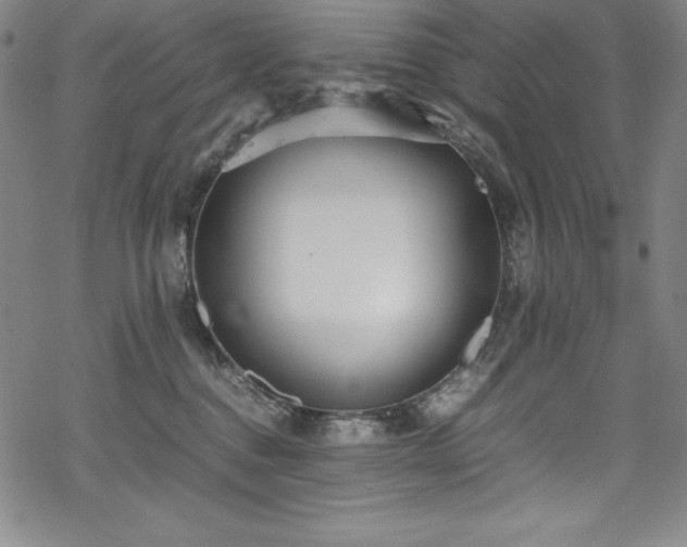 X0000069390376200605121217