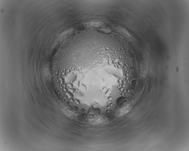 X0000069390377200605121217