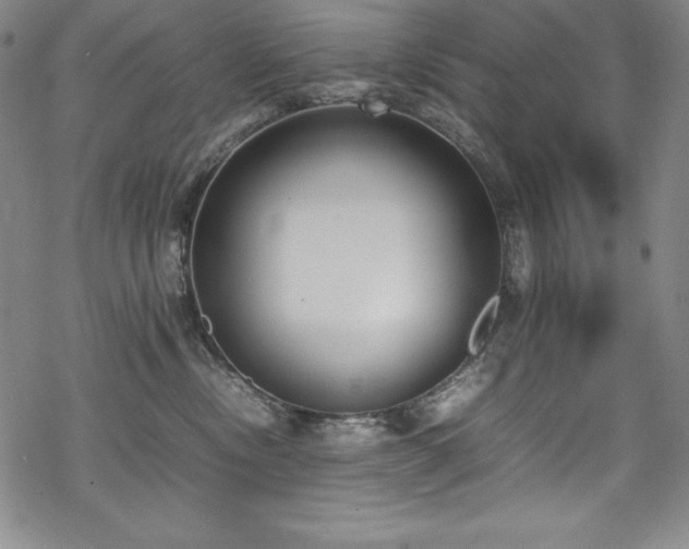 X0000069390378200605121217