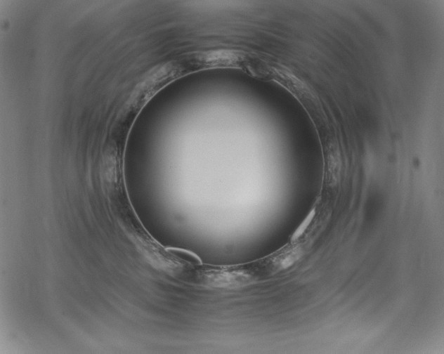 X0000069390379200605121217