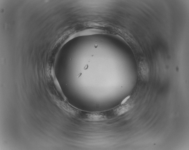 X0000069390380200605121217