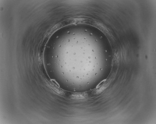 X0000069390381200605121217