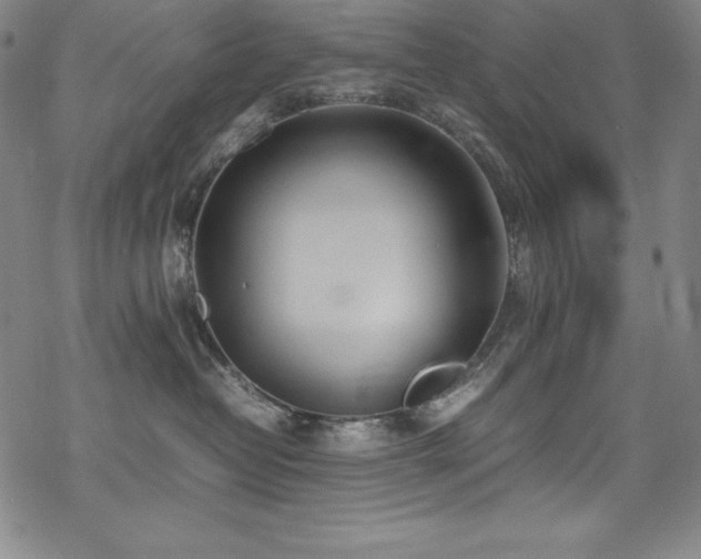 X0000069390382200605121217