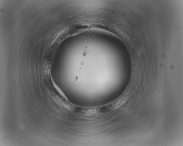 X0000069390384200605121217