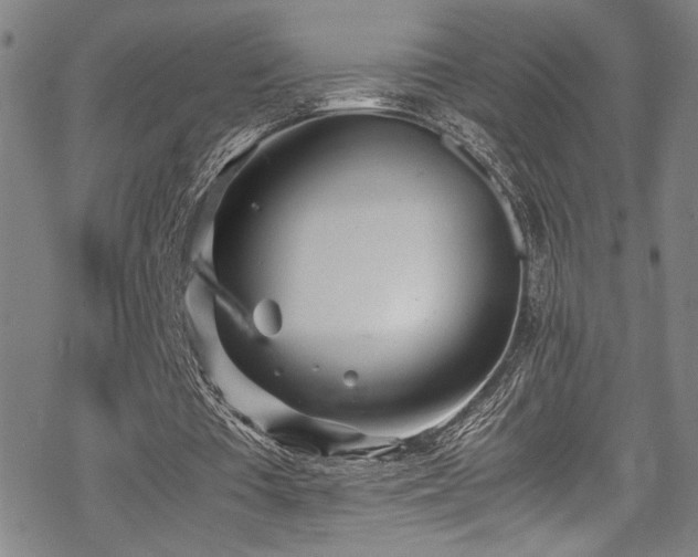 X0000069390385200605121216