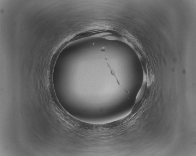 X0000069390387200605121216