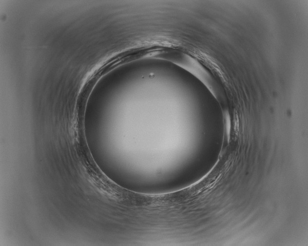 X0000069390388200605121216