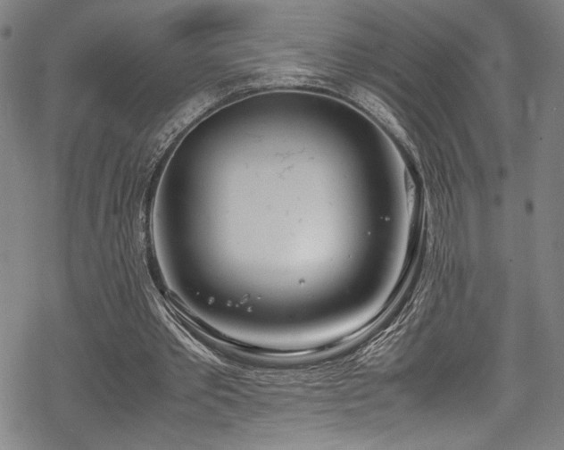 X0000069390389200605121216