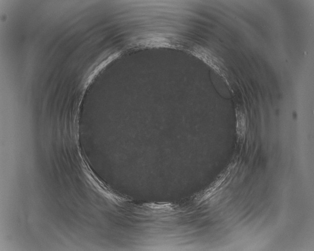 X0000069390390200605121216