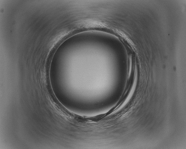 X0000069390391200605121216