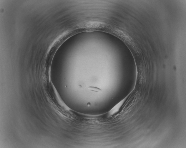 X0000069390392200605121216