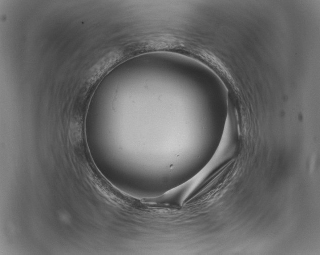 X0000069390393200605121216