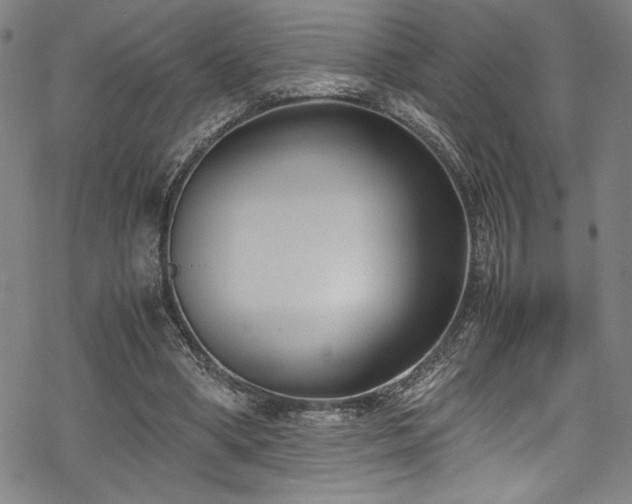 X0000069390394200605121216