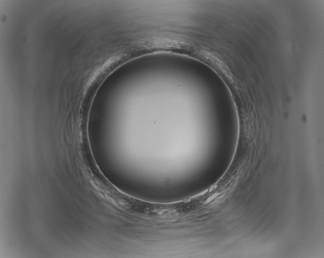 X0000069390395200605121216