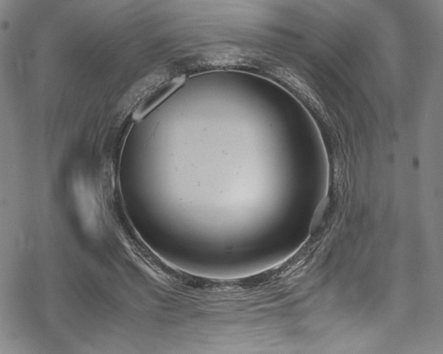 X0000069390397200605121216