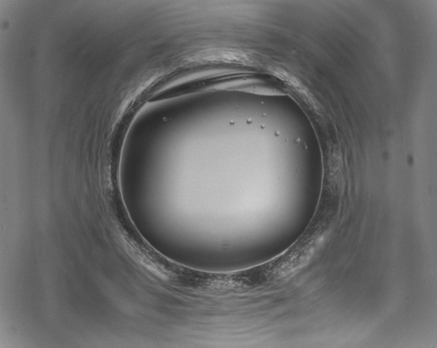 X0000069390399200605121216