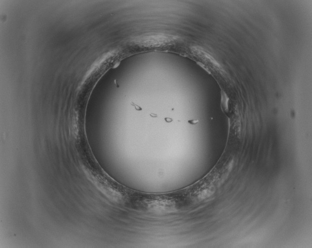 X0000069390400200605121216