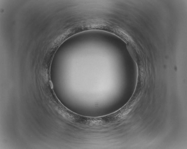 X0000069390401200605121216