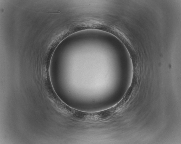 X0000069390403200605121216