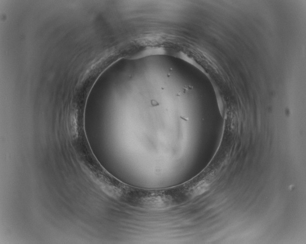 X0000069390404200605121216