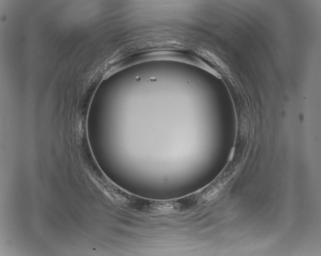 X0000069390405200605121216