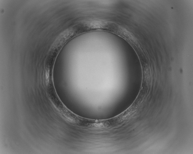 X0000069390406200605121216