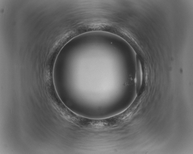 X0000069390407200605121216