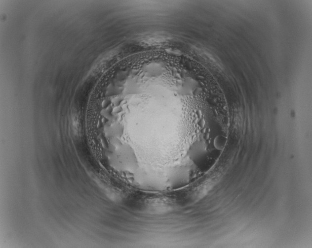 X0000069390408200605121216