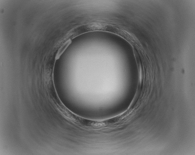 X0000069390409200605121216