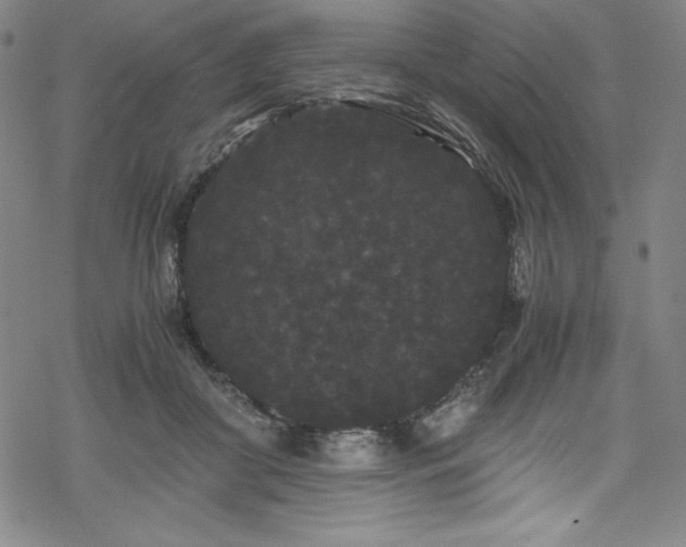 X0000069390410200605121216