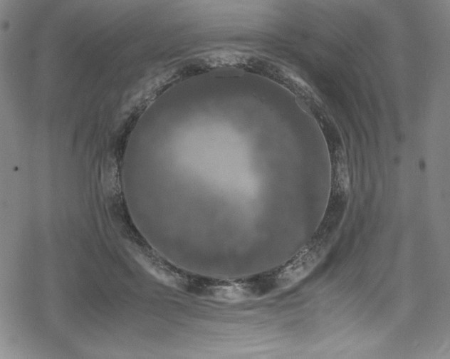 X0000069390411200605121216