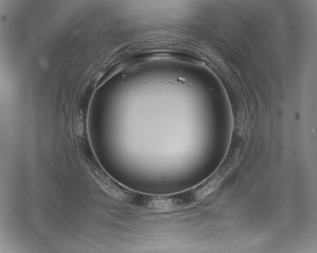 X0000069390413200605121216