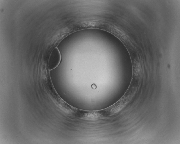 X0000069390414200605121216