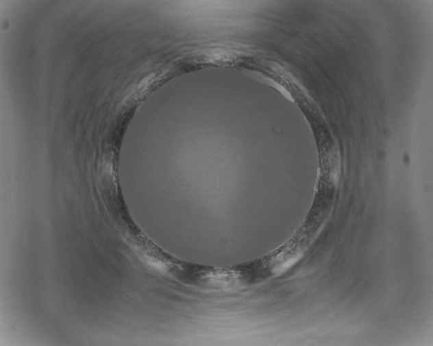 X0000069390415200605121216