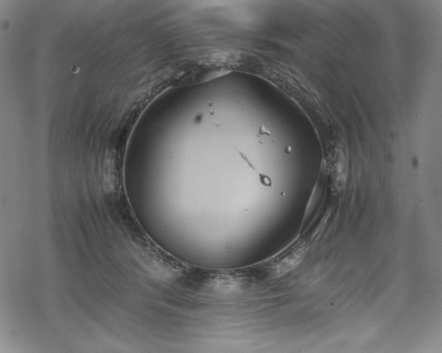 X0000069390416200605121216