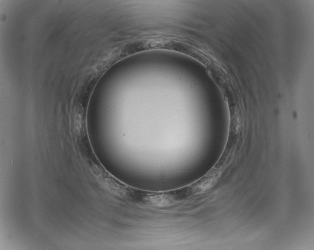 X0000069390417200605121216