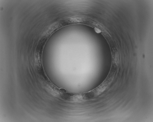 X0000069390418200605121216