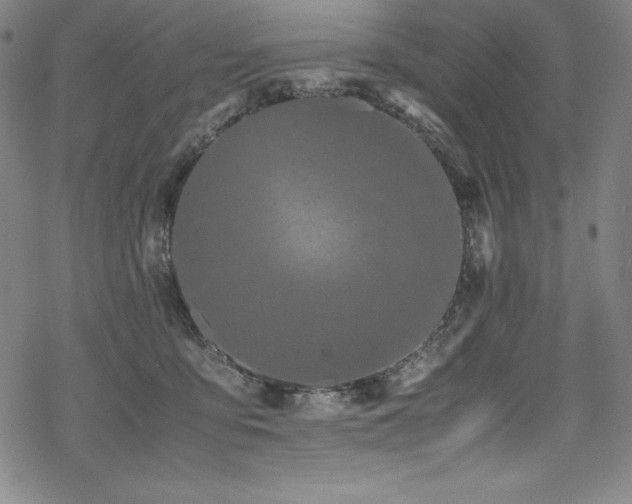 X0000069390419200605121216