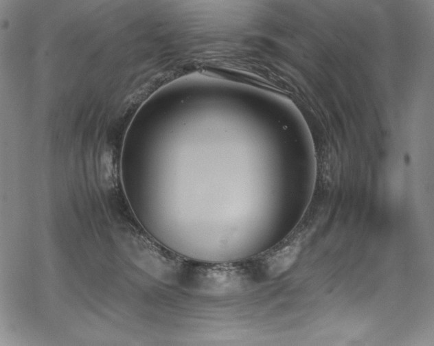 X0000069390420200605121216