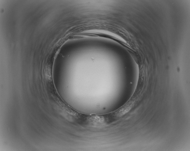 X0000069390421200605121216