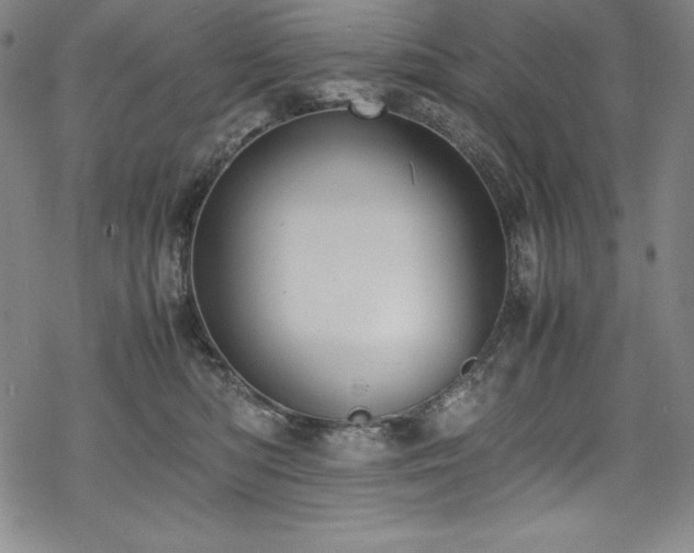 X0000069390422200605121216