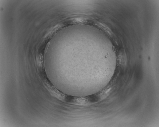 X0000069390423200605121216