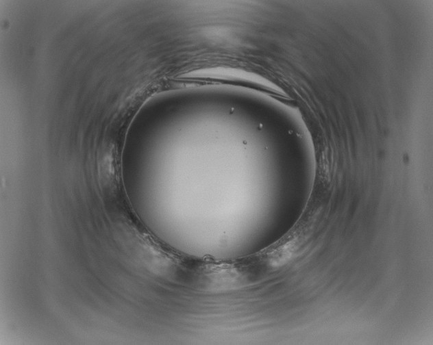 X0000069390424200605121216