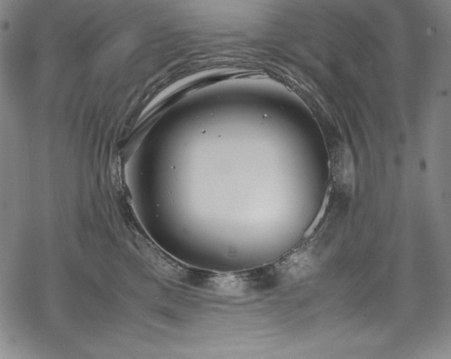 X0000069390425200605121216