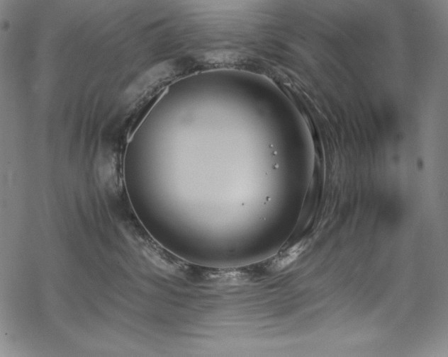 X0000069390428200605121216