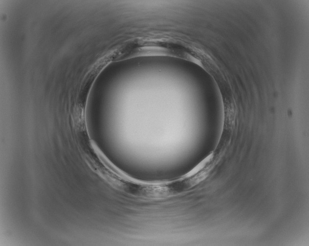 X0000069390429200605121216